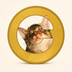 Catecoin's Logo