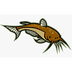 Cat Fish's Logo