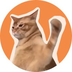 Catslap 's Logo