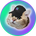 https://s1.coincarp.com/logo/1/catsolhat.png?style=36's logo