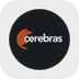 Cerebras Systems Tokenized Stock (Reality)'s Logo