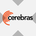Cerebras Systems tokenized stock (xStock)