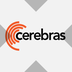 Cerebras Systems tokenized stock (xStock)'s Logo