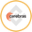 Cerebras Tokenized bStocks