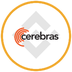 Cerebras Tokenized bStocks's Logo