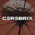 Cerebrix AI's Logo