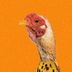 ChickenBanana's Logo
