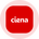 Ciena Tokenized Stock (Ondo)'s logo