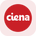 Ciena Tokenized Stock (Reality)