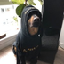 Binance's dog's Logo