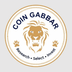 Coin Gabbar's Logo