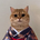 https://s1.coincarp.com/logo/1/cok-the-cat.png?style=36&v=1717467881's logo