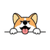 Corgidoge's Logo