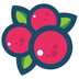 CranberrySwap's Logo