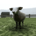 Crazy Cattle 3D's Logo