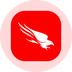 CrowdStrike Tokenized Stock (Ondo)'s Logo