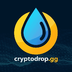 CryptoDrop's Logo