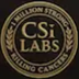 CSi Labs's Logo