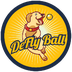 DeFlyBall's Logo