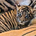 Disney Sumatran Tiger