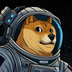 DOGE-1 Satellite's Logo