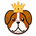 https://s1.coincarp.com/logo/1/doge-king.png?style=36&v=1643723567's logo