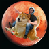DOGE TO MARS's Logo