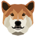 DogeCash's Logo
