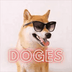 DOGES Token's Logo