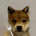 dogwiffork's logo