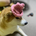 dogwifhat2