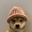 https://s1.coincarp.com/logo/1/dogwifhateth.png?style=36&v=1707103286's logo