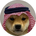 https://s1.coincarp.com/logo/1/dogwifsaudihat.png?style=36's logo