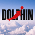 Dolphin Air Jordan's Logo