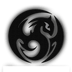 Dragon Network's Logo