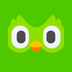 Duolingo Tokenized Stock (Coinbase)'s Logo