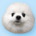 Durovs Dog's Logo