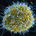 EbolaVirus