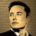 Elon Coin's Logo