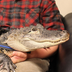 Emotional Support Alligator's Logo