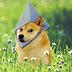 ETH DOGE's Logo