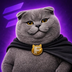 FATCAT's Logo