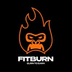 FitBurn's Logo