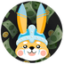 FLOKACHU TOKEN's Logo