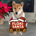 Floki Santa's Logo