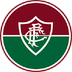Fluminense FC Fan Token's Logo