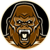 Gorilla Nodes's Logo