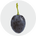 Grape
