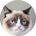grumpycat