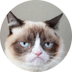 grumpycat's Logo